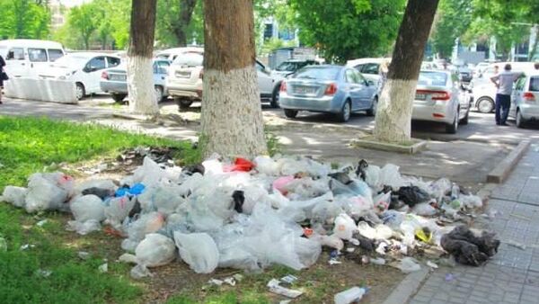 На 2 млрд сумов оштрафовали нарушителей, выбрасывавших мусор в неустановленных местах, в Ташкенте - Sputnik Узбекистан
