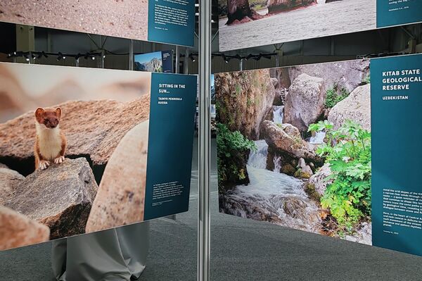 Российский научный центр представил в Самарканде выставку Глобальные геопарки ЮНЕСКО. - Sputnik Узбекистан