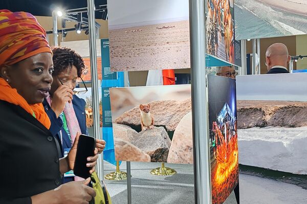 Российский научный центр представил в Самарканде выставку Глобальные геопарки ЮНЕСКО. - Sputnik Узбекистан