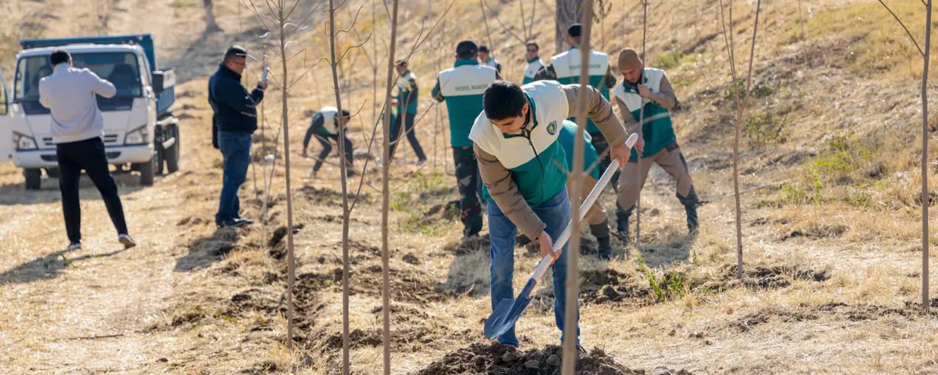 V Axangarane ministerstva posadili dekorativnie derevya vdol 46 km dorogi - Sputnik O‘zbekiston, 1920, 10.11.2025