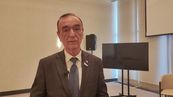 В Узбекистане планируют открыть филиал Курчатовского института - президент Академии наук РУз - Sputnik Узбекистан