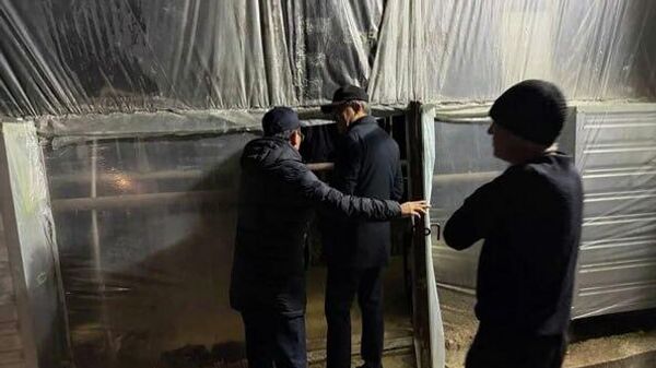 В Ташобласти в ходе рейдов выявлено отсутствие фильтров в теплицах - Sputnik Узбекистан