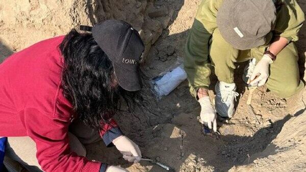 На территории древнего города Канка в Ташобласти археологи обнаружили настенные росписи, датируемые X–XI вв - Sputnik Узбекистан