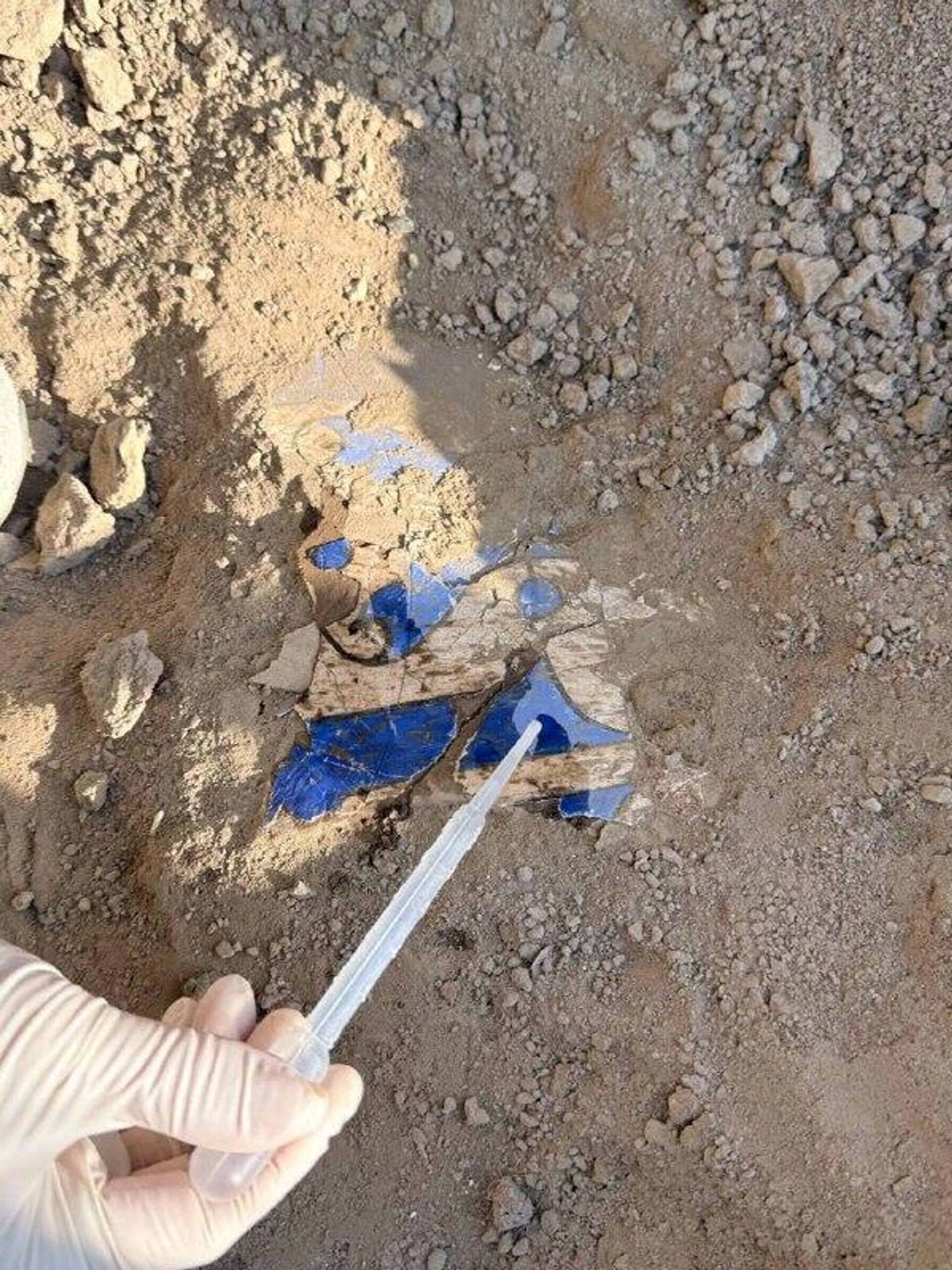 На территории древнего города Канка в Ташобласти археологи обнаружили настенные росписи, датируемые X–XI вв - Sputnik Узбекистан, 1920, 11.11.2025