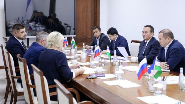 Сурхандарья и Санкт-Петербург наладят сотрудничество в сфере трудовой миграции - Sputnik Узбекистан