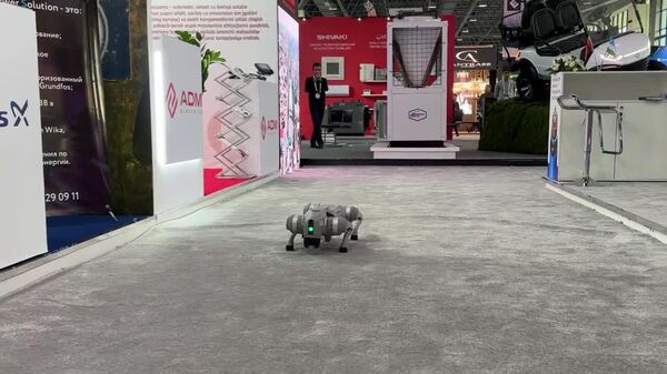 Умные камеры, системы распознавания лиц, дроны, инновационные панели и роботизированные технологии - все это и многое другое можно увидеть в эти дни в Ташкенте - Sputnik Узбекистан