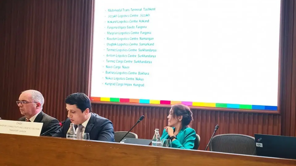 24 транспортно-логистических центра Узбекистана получили статус международного сухопутного порта - Sputnik Ўзбекистон