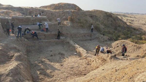 🟠 Археологический памятник Канка в Аккурганском районе Ташобласти станет музеем под открытым небом - Sputnik Узбекистан