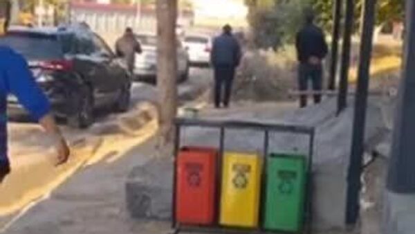 Экологи отреагировали на видео из соцсетей с вырубкой можжевельников в Ташкенте - Sputnik Узбекистан