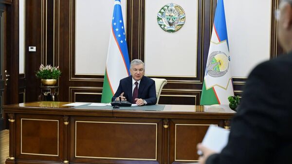 Президент ознакомился с презентацией предложений по повышению эффективности хлопководства  - Sputnik Ўзбекистон