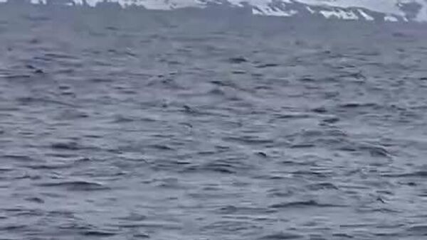 Знаменитый российский путешественник Федор Конюхов отправился в Антарктиду - Sputnik Узбекистан