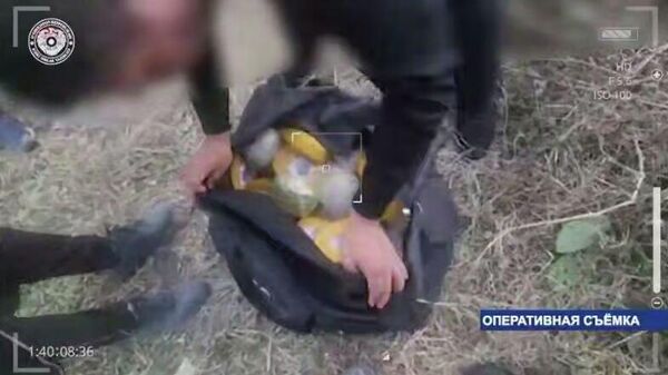 В Янгихаётском районе Ташкента задержали двух человек при изъятии 19 кг наркотиков из тайника - Sputnik Узбекистан