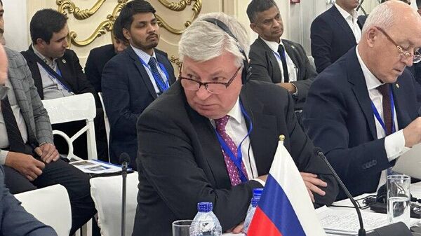 Нельзя не отметить усилия талибских властей по борьбе с террористами - Sputnik Узбекистан