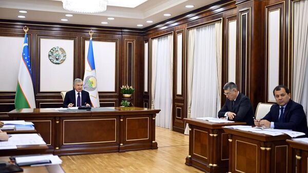 Шавкат Мирзиёев ознакомился с презентацией о развитии индустрии строительных материалов. - Sputnik Узбекистан
