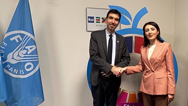 Гоар Барсегян провела рабочую встречу с первым заместителем генерального директора ФАО Маурицио Мартина. - Sputnik Ўзбекистон