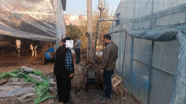 В Ташкенте экоинспекторы обнаружили работающую на угле теплицу внутри махалли - Sputnik Узбекистан