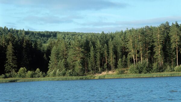 Река - Sputnik Ўзбекистон