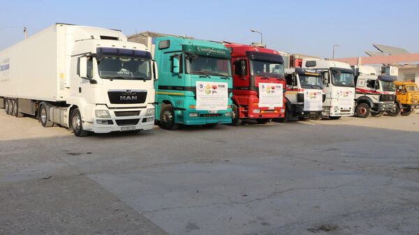 Афганистан начал экспорт фруктов в Центральную Азию через Узбекистан. - Sputnik Ўзбекистон