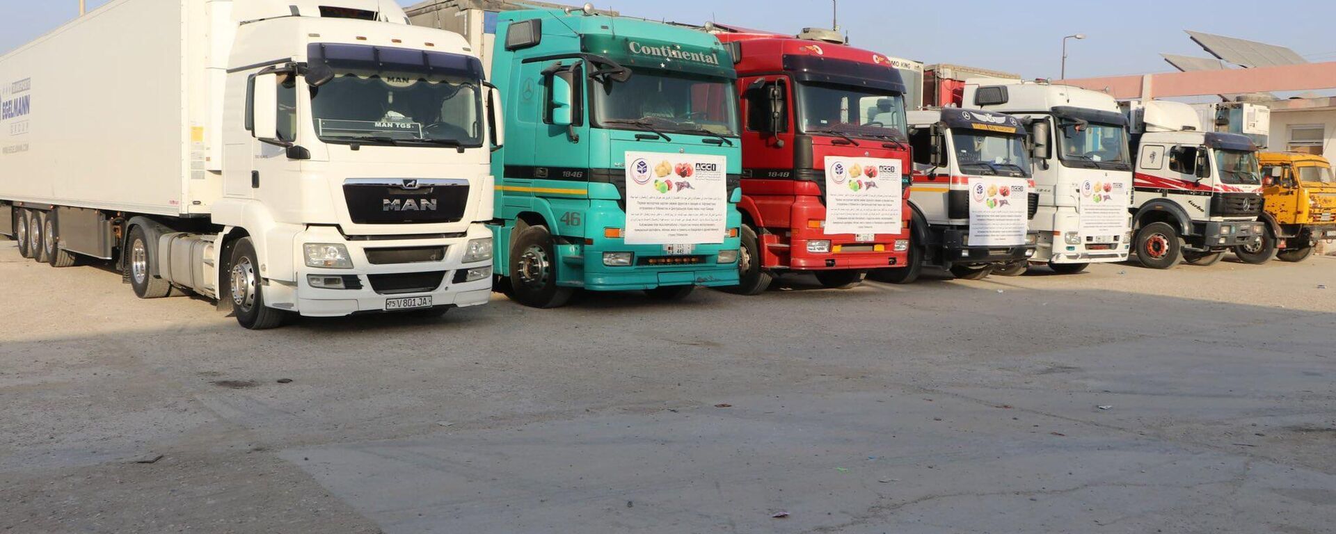 Афганистан начал экспорт фруктов в Центральную Азию через Узбекистан. - Sputnik Ўзбекистон, 1920, 23.11.2025