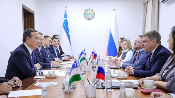 Делегация Красноярского края посетила Узбекистан - Sputnik Ўзбекистон