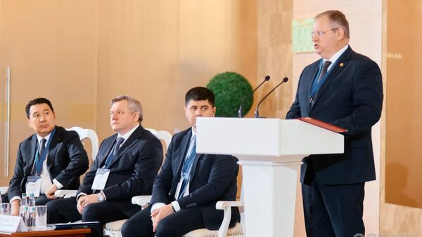 В ЕЭК рассказали о дополнительных стимулах для соблюдения в ЕАЭС конкурентного права - Sputnik Узбекистан