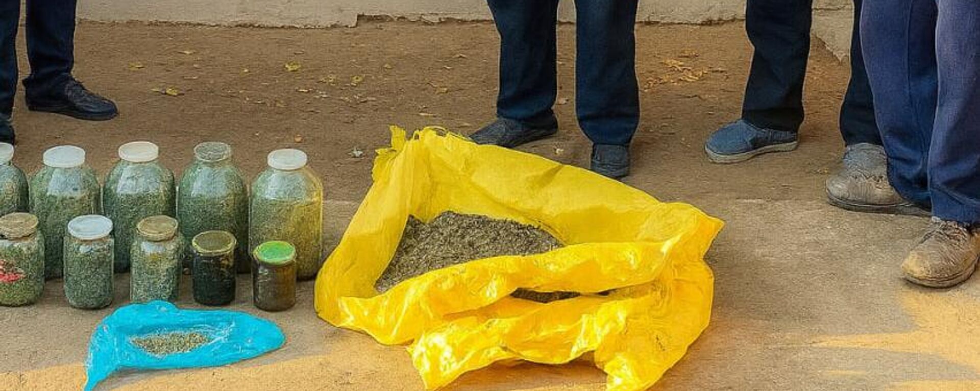 V Tashkentskoy oblasti v kachestve veshestvennix dokazatelstv izyato okolo 12,3 kg narkotikov
 - Sputnik O‘zbekiston, 1920, 25.11.2025