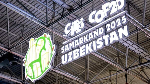 В Самарканде проходит Всемирная конференция по дикой природе CITES CoP20 - Sputnik Узбекистан