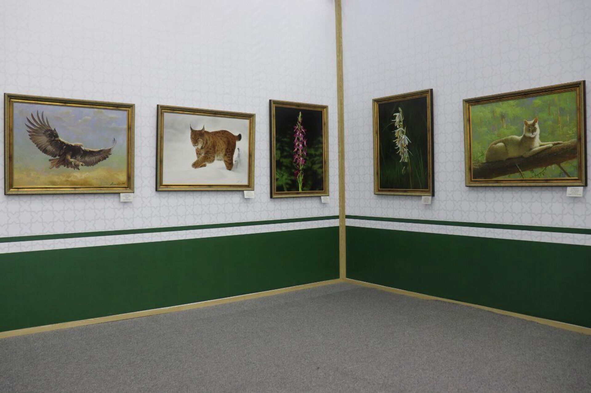 В Самарканде проходит Всемирная конференция по дикой природе CITES CoP20 - Sputnik Узбекистан, 1920, 25.11.2025