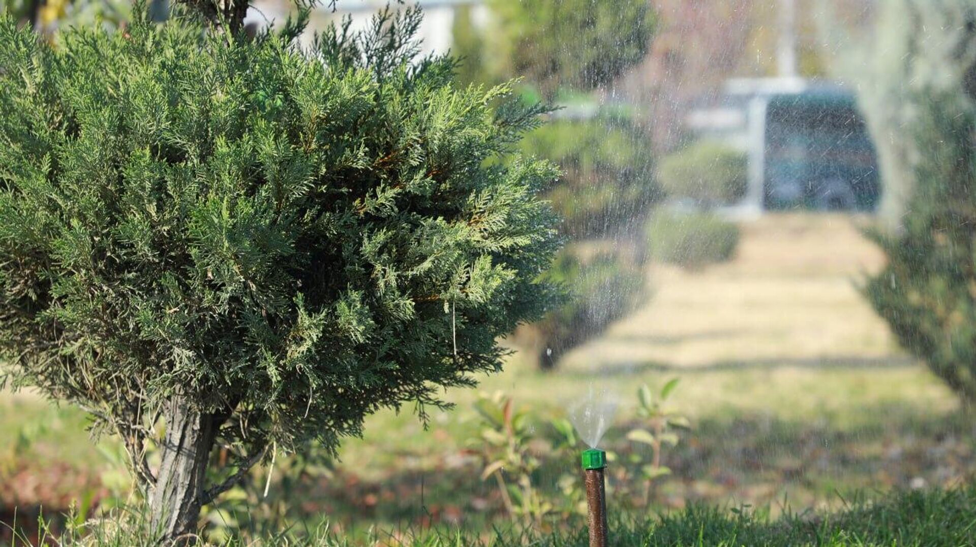 В Ташкенте борются за чистый воздух В Ташкенте борются за чистый воздух - Sputnik Узбекистан, 1920, 26.11.2025