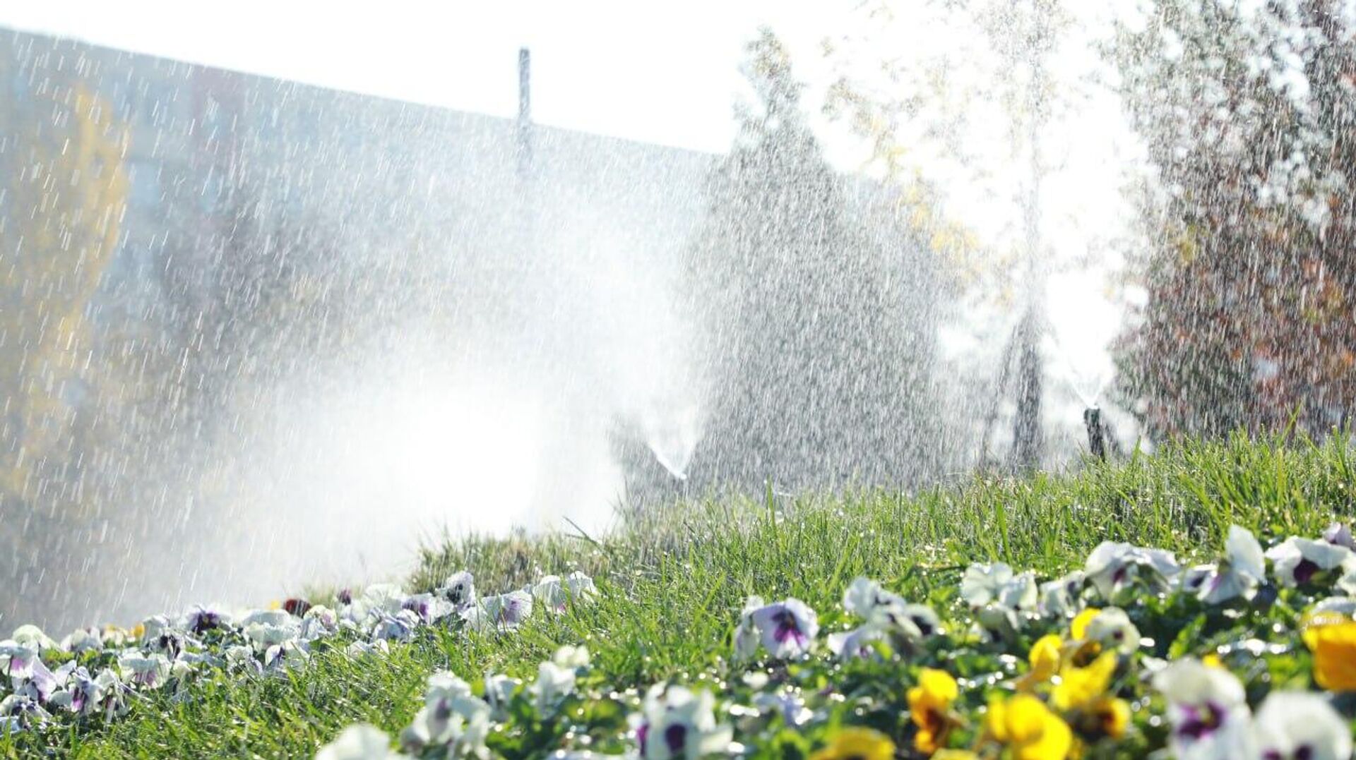 В Ташкенте борются за чистый воздух В Ташкенте борются за чистый воздух - Sputnik Узбекистан, 1920, 26.11.2025