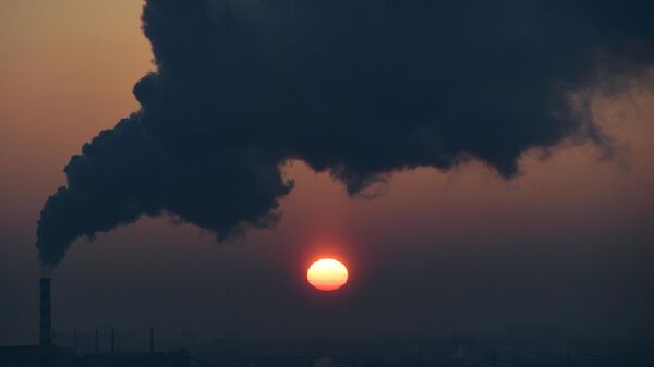 Зима в Новосибирской области - Sputnik Ўзбекистон