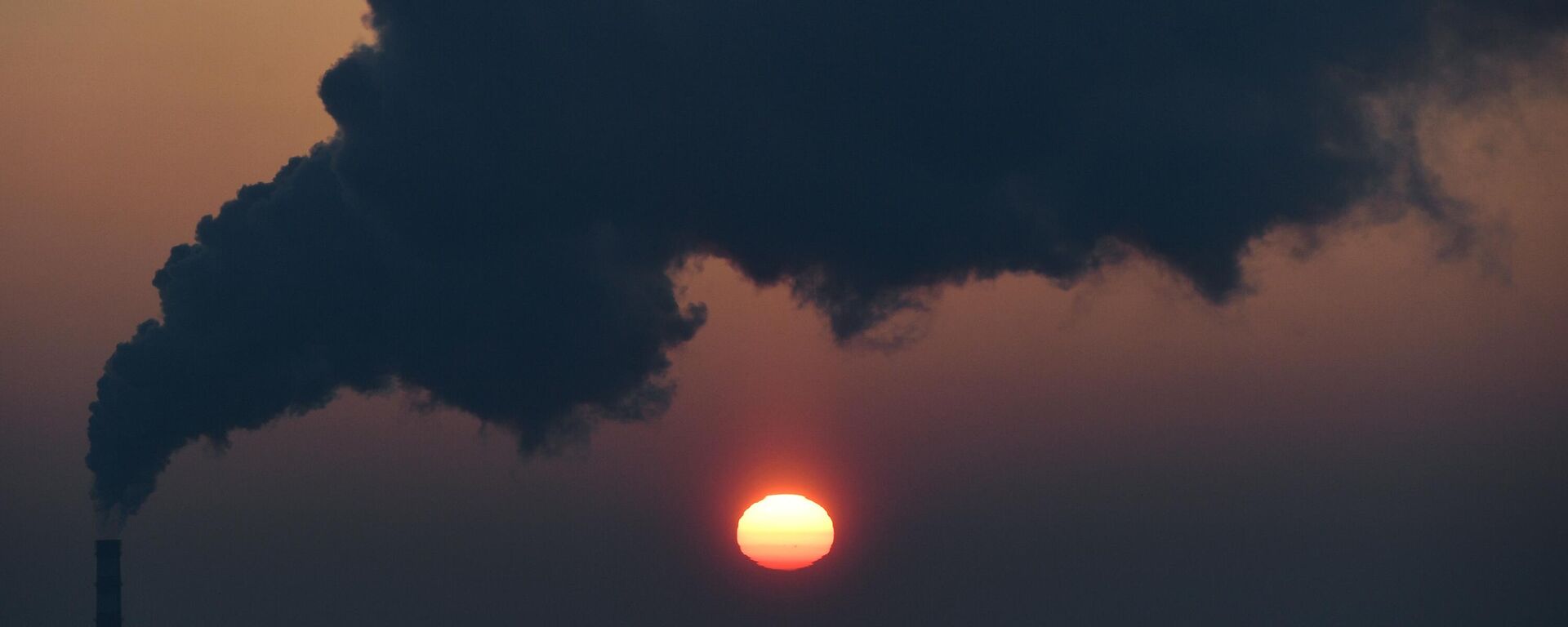 Зима в Новосибирской области - Sputnik Ўзбекистон, 1920, 26.11.2025