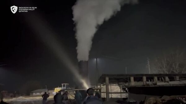 В Ташобласти в ходе рейда обнаружили сжигание полиэтилена одним из предприятий - Sputnik Узбекистан