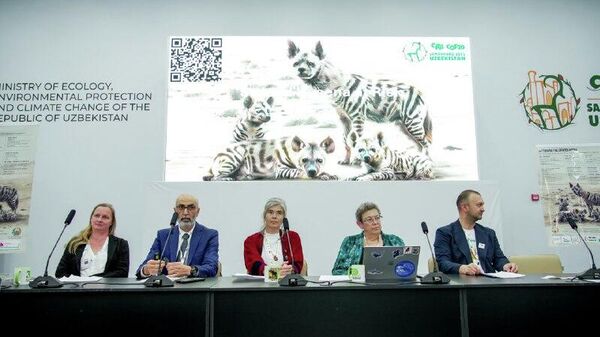 На грани исчезновения находятся полосатые гиены в Узбекистане - Sputnik Узбекистан