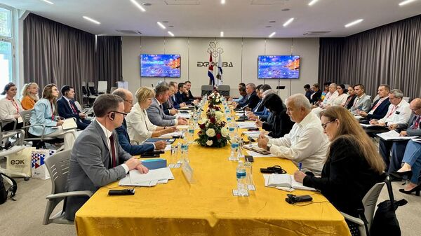 Состоялось заседание Совместной комиссии ЕИК и Правительства Кубы - Sputnik Ўзбекистон