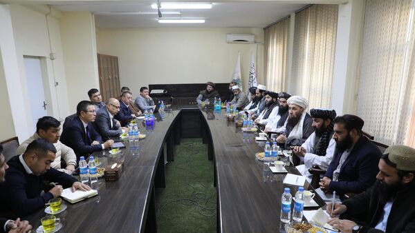 Узбекистан увеличит импорт мяса из Афганистана - Sputnik Ўзбекистон