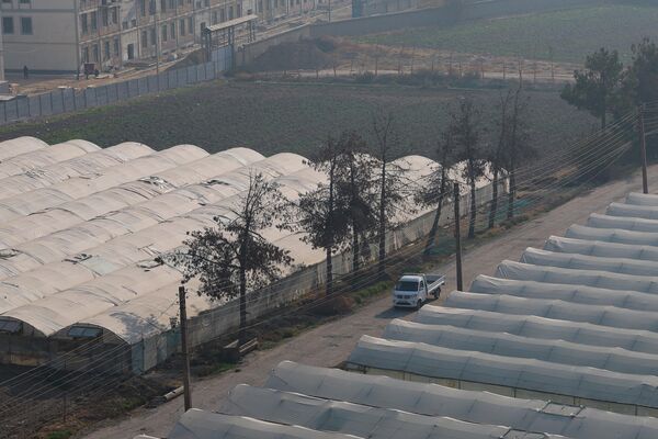 Иссиқхона деҳқончилиги ва  юзага келган чанг атмосфера - Sputnik Ўзбекистон