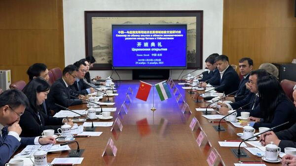 Состоялось открытие Программы по экономическому развитию и обмену опытом между Узбекистаном и КНР - Sputnik Ўзбекистон