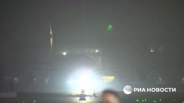 Путин прибыл в Индию с двухдневным визитом - Sputnik Узбекистан