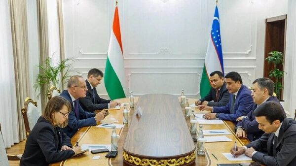 В Сырдарьинской области появится узбекско-венгерский технопарк - Sputnik Узбекистан