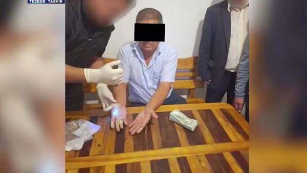 🟠 В Узбекистане пресекли сразу несколько случаев незаконной продажи государственных земель - Sputnik Узбекистан