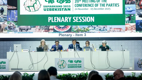 В Самарканде завершился CITES CoP20 - Sputnik Ўзбекистон