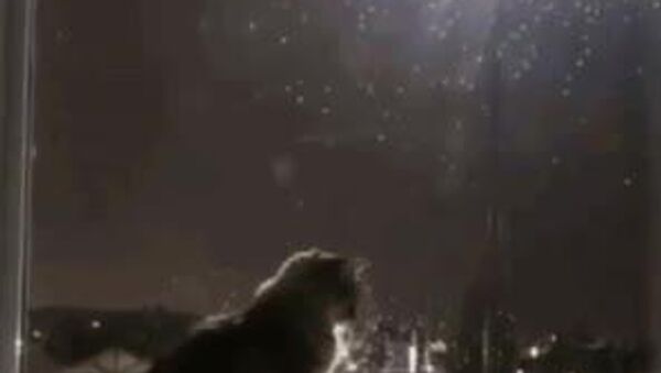 Сегодня утром в Ташкенте и почти во всех регионах Узбекистана ожидаются дожди - Sputnik Узбекистан