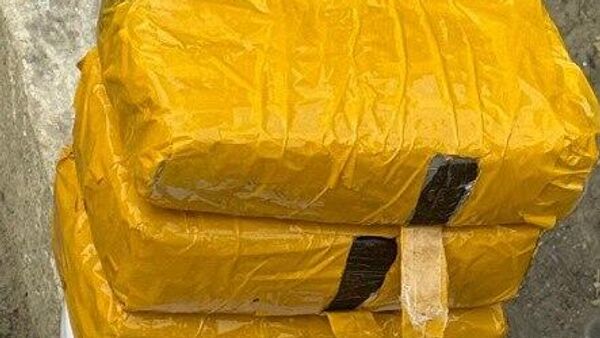 Задержан почти 3 кг гашиша, перевозимого в Ташкент для продажи - Sputnik Ўзбекистон