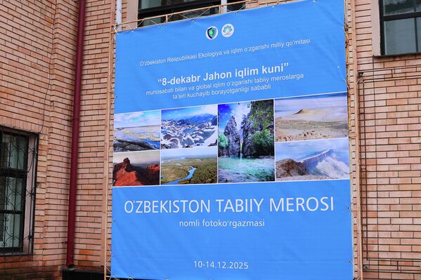 Афиша выставки - Sputnik Узбекистан