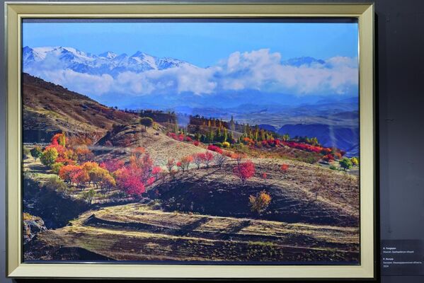 Р. Янгаев. Хисорак, Кашкадарьинская область, 2024 - Sputnik Узбекистан