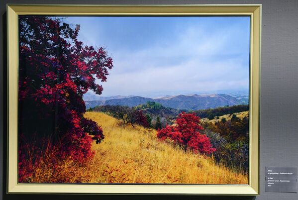 А. Пан. Поселок &quot;Cукок&quot;, Ташкентская область, 2023 - Sputnik Узбекистан