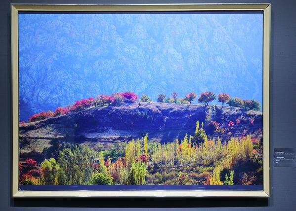 Х. Шорахмедов. Деревня Гилан, Кашкадарьинская область, 2022 - Sputnik Узбекистан