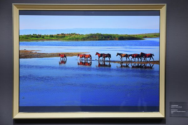 В. Гончаренко. Айдаркуль. Навоийская область, 2019 - Sputnik Узбекистан