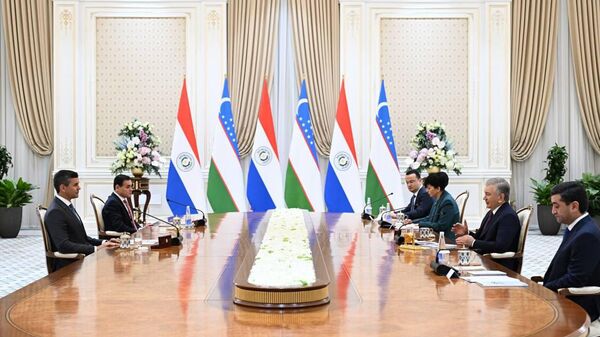 Переговоры президента Узбекистана Шавката Мирзиёева с президентом Парагвая Сантьяго Пенья - Sputnik Узбекистан